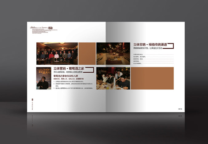 畫冊設(shè)計，標(biāo)志設(shè)計，VI設(shè)計，交互設(shè)計，包裝設(shè)計，空間導(dǎo)示，數(shù)志視頻，廣告創(chuàng)意設(shè)計，博納設(shè)計