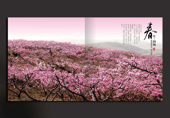 畫冊設(shè)計，標(biāo)志設(shè)計，VI設(shè)計，交互設(shè)計，包裝設(shè)計，空間導(dǎo)示，數(shù)志視頻，廣告創(chuàng)意設(shè)計，博納設(shè)計