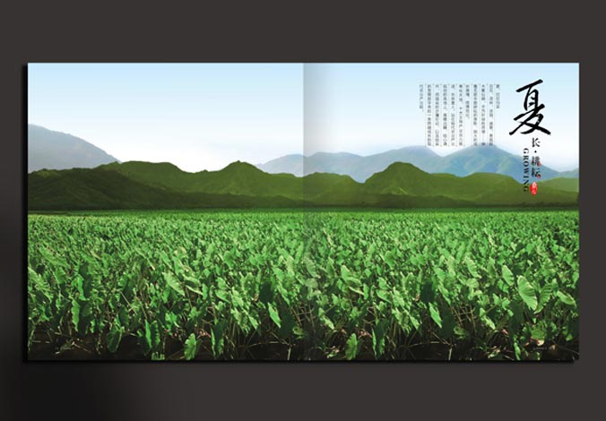 畫冊設(shè)計，標(biāo)志設(shè)計，VI設(shè)計，交互設(shè)計，包裝設(shè)計，空間導(dǎo)示，數(shù)志視頻，廣告創(chuàng)意設(shè)計，博納設(shè)計