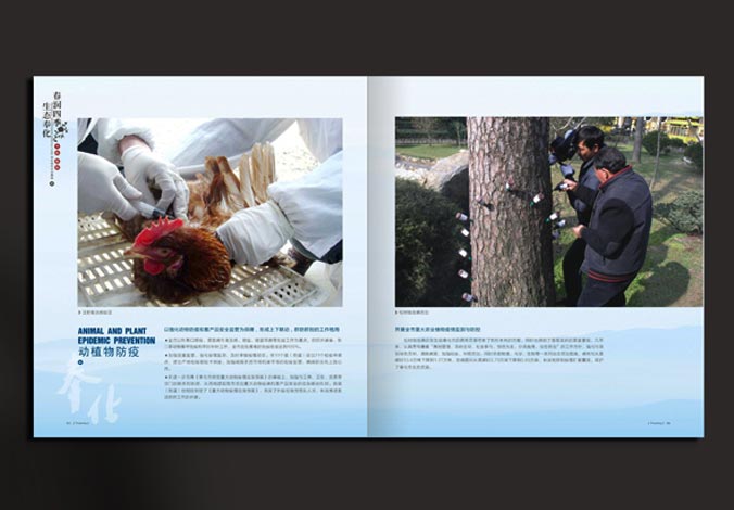 畫冊設(shè)計，標(biāo)志設(shè)計，VI設(shè)計，交互設(shè)計，包裝設(shè)計，空間導(dǎo)示，數(shù)志視頻，廣告創(chuàng)意設(shè)計，博納設(shè)計