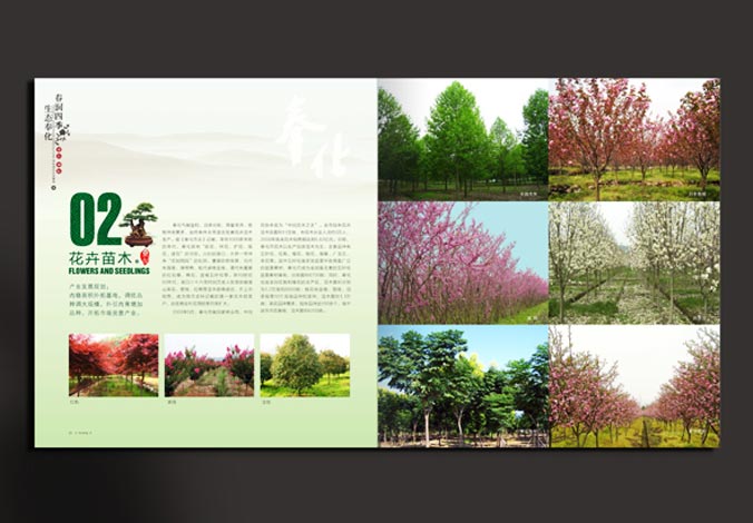 畫冊設(shè)計，標(biāo)志設(shè)計，VI設(shè)計，交互設(shè)計，包裝設(shè)計，空間導(dǎo)示，數(shù)志視頻，廣告創(chuàng)意設(shè)計，博納設(shè)計