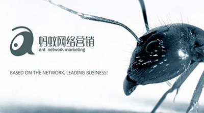 螞蟻網(wǎng)絡營銷