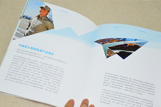 中國(guó)遠(yuǎn)大集團(tuán) 畫冊(cè)設(shè)計(jì) 宣傳冊(cè)設(shè)計(jì) 北京彩頁設(shè)計(jì) logo設(shè)計(jì) 商標(biāo)設(shè)計(jì) 標(biāo)志設(shè)計(jì) 企業(yè)logo設(shè)計(jì) VI設(shè)計(jì) VI設(shè)計(jì)公司 品牌設(shè)計(jì) 品牌設(shè)計(jì)公司