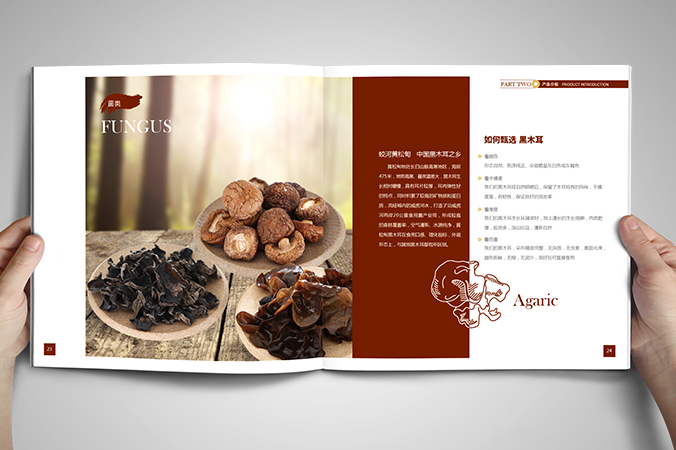 美參堂  北京宣傳冊(cè)設(shè)計(jì)  產(chǎn)品畫(huà)冊(cè)設(shè)計(jì)  企業(yè)宣傳冊(cè)設(shè)計(jì)
