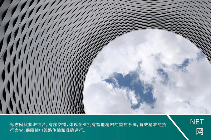 商標設(shè)計，產(chǎn)品商標設(shè)計，logo設(shè)計   中國電科院-風(fēng)險智控系統(tǒng)