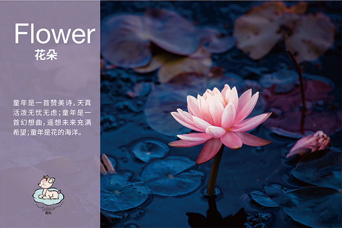 愛(ài)朵 logo設(shè)計(jì) 商標(biāo)設(shè)計(jì) 標(biāo)志設(shè)計(jì)