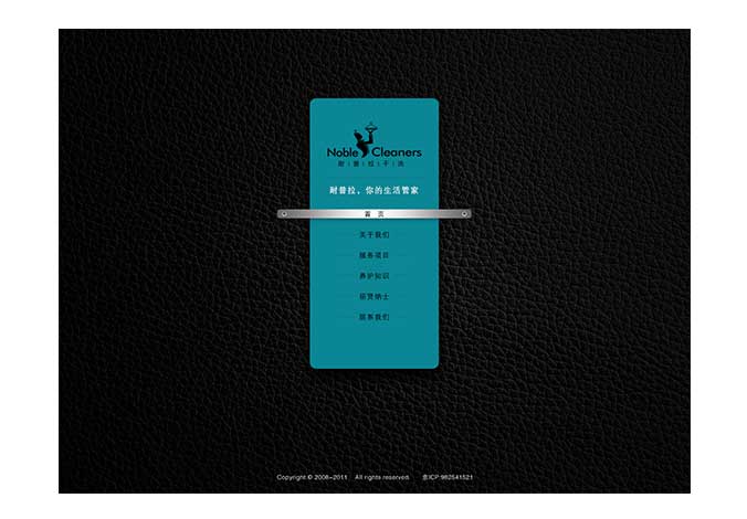 耐普拉干洗  企業(yè)logo設(shè)計  形象vi設(shè)計