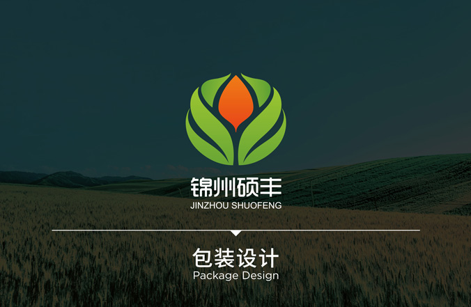 碩豐農(nóng)藥  包裝設計 外包裝設計  包裝袋設計