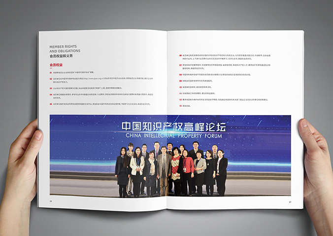 中國專利保護協(xié)會  宣傳冊設計,產(chǎn)品畫冊設計,畫冊設計